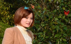 新岳乱合集500系列